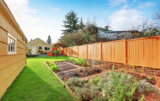 paint or stain my fence