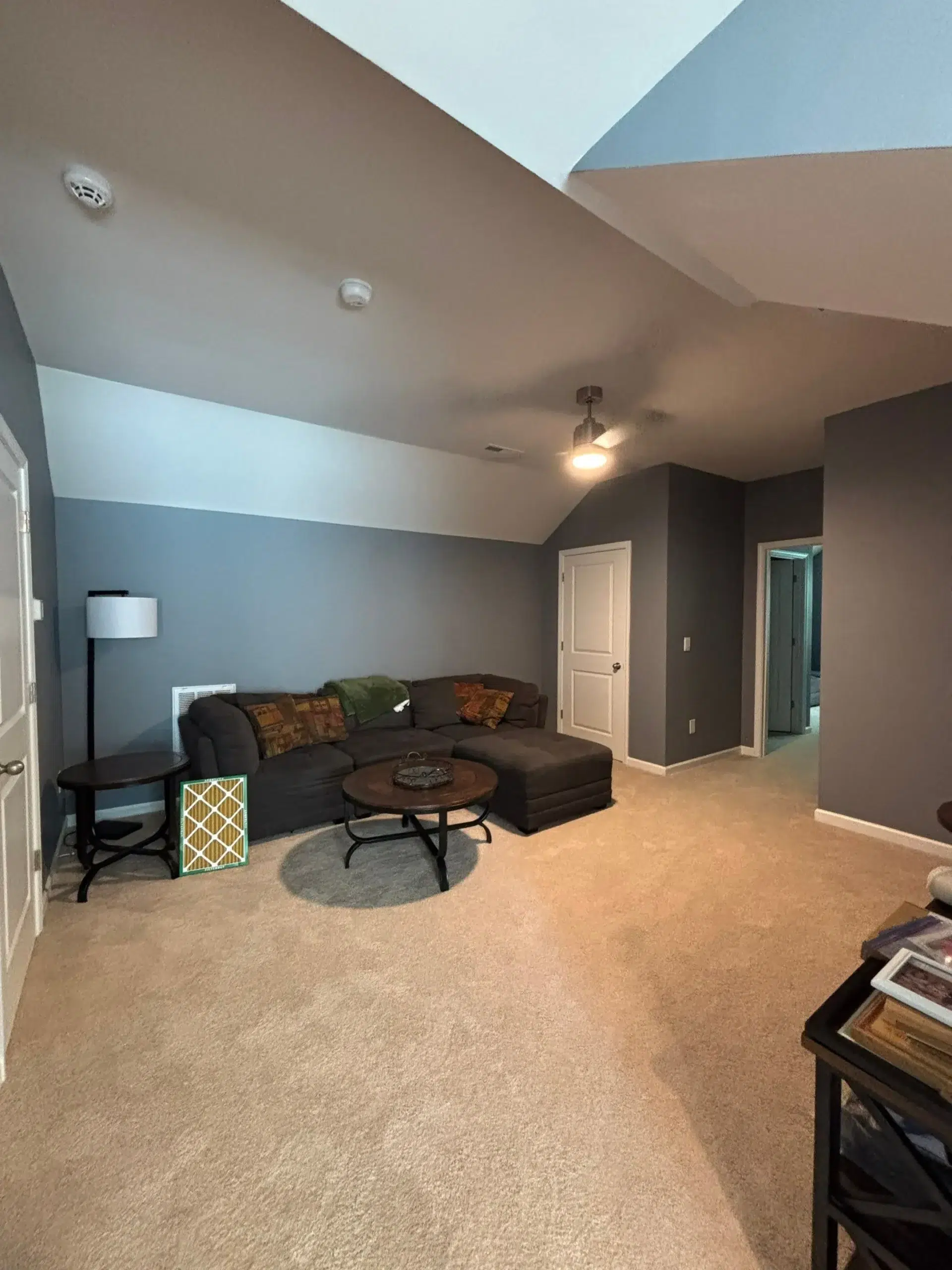 Spacious Living Room Interior Painting and Wall Finishing A large living room with newly painted dark blue gray walls, a white ceiling, and comfortable furniture.